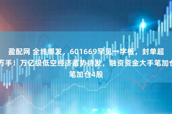 盈配网 全线爆发，601669罕见一字板，封单超700万手！万亿级低空经济蓄势待发，融资资金大手笔加仓4股