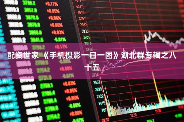 配资世家 《手机摄影一日一图》湖北群专辑之八十五