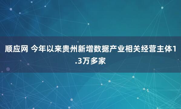 顺应网 今年以来贵州新增数据产业相关经营主体1.3万多家