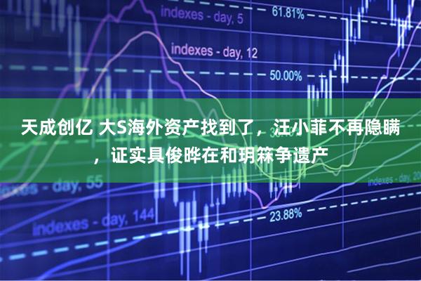 天成创亿 大S海外资产找到了,汪小菲不再隐瞒,证实具俊晔在和玥箖争遗产